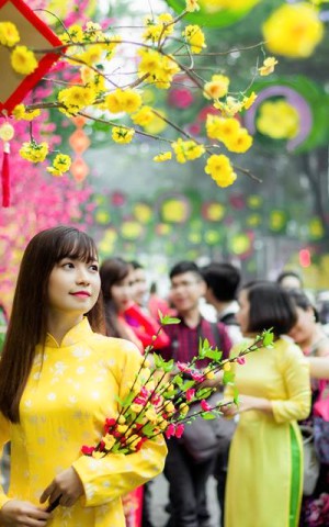 Nghệ An yêu cầu tổ chức Tết Bính Ngọ 2026 vui tươi, lành mạnh, an toàn, tiết kiệm; không đi thăm, chúc Tết lãnh đạo các cấp